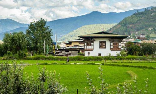 Paro050723byAmpSripimanwat-19