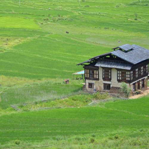 WhatsApp Image 2023-07-30 at 9.21.27 AM (7)